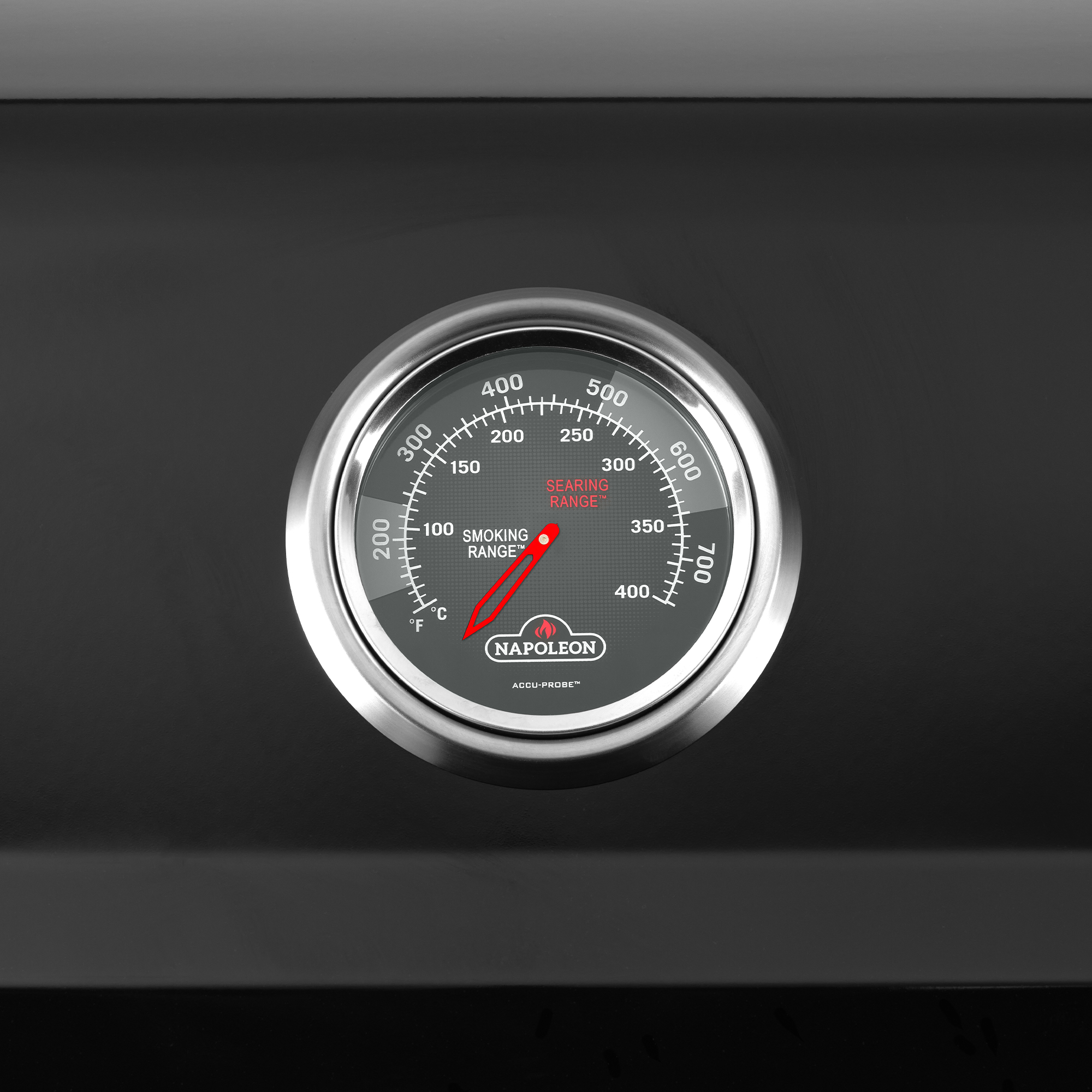 Napoleon® Freestyle® 365 mit Tür, Schwarz (F365DPK-1-DE) - Napoleon