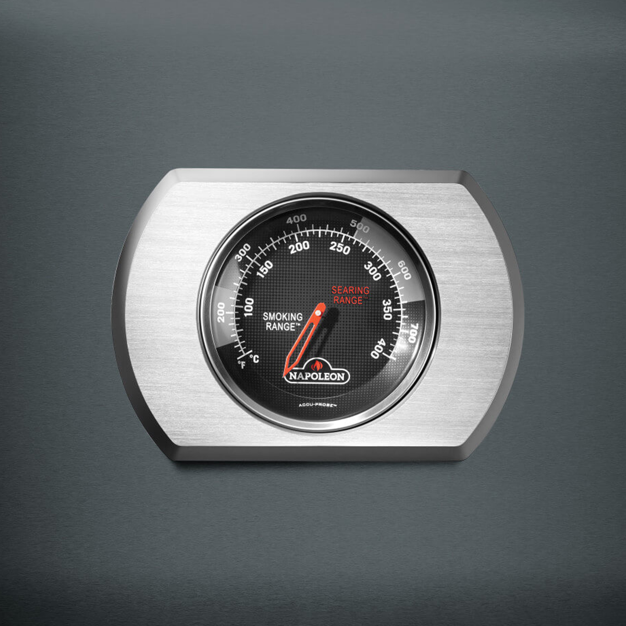 Napoleon® Rogue® PRO 425, Limited Edition Grau Modell 2025 (RP425SIBPCH-2-Bundle) - Napoleon