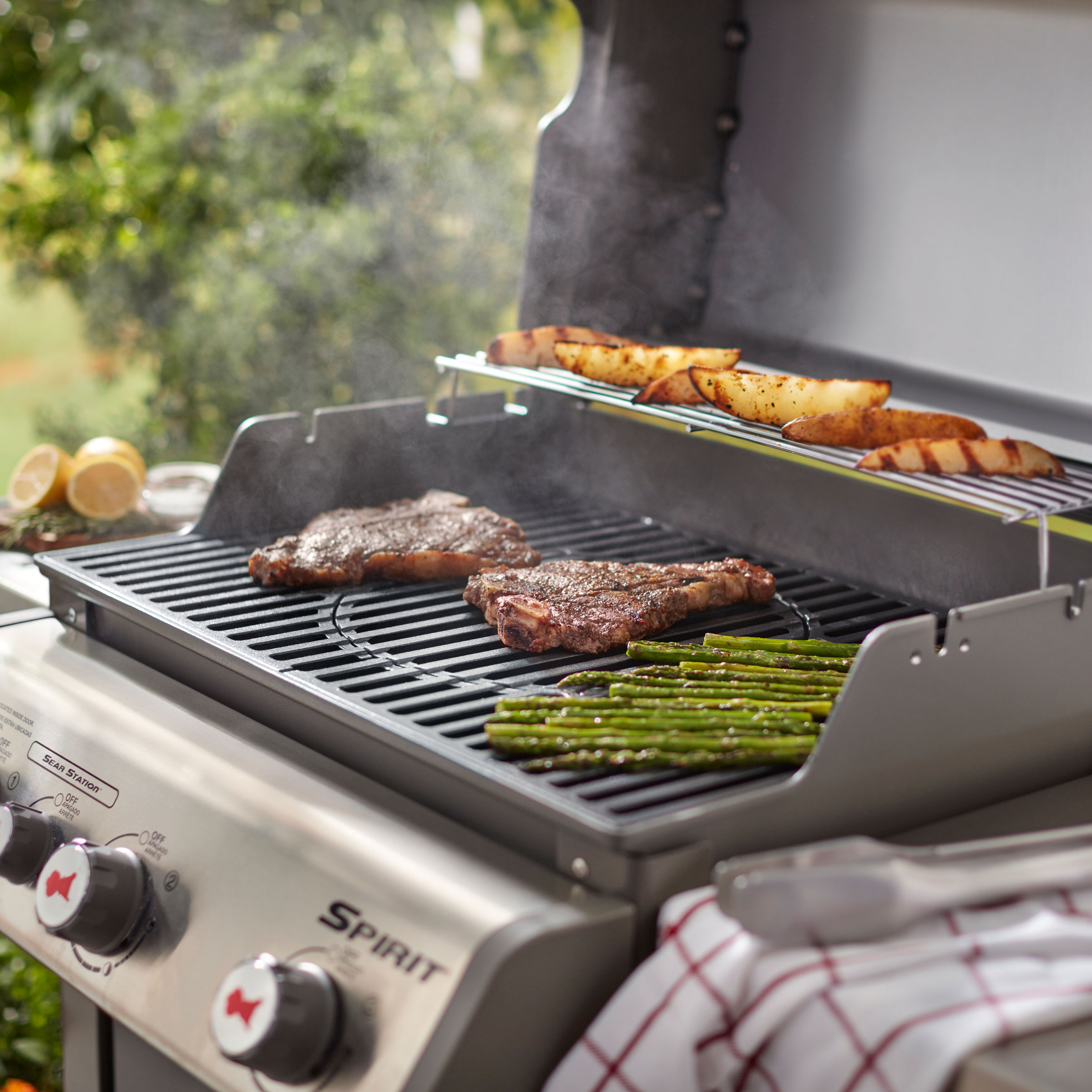 Weber® Sprit® 300 GBS-Grillrost aus Gusseisen (8847) - CC|02 - Weber