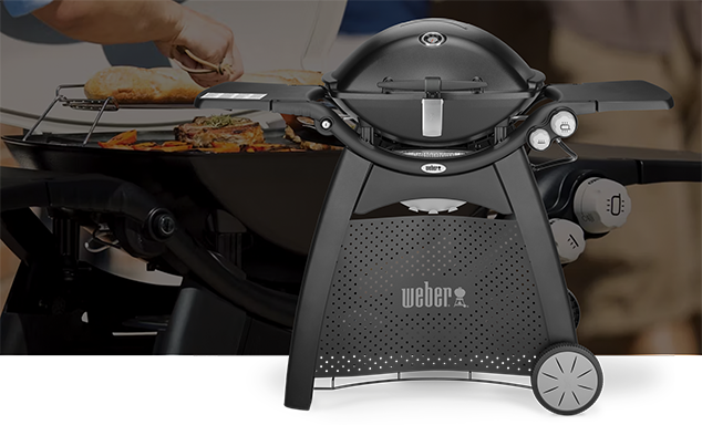 Weber Gasgrill Q Reihe