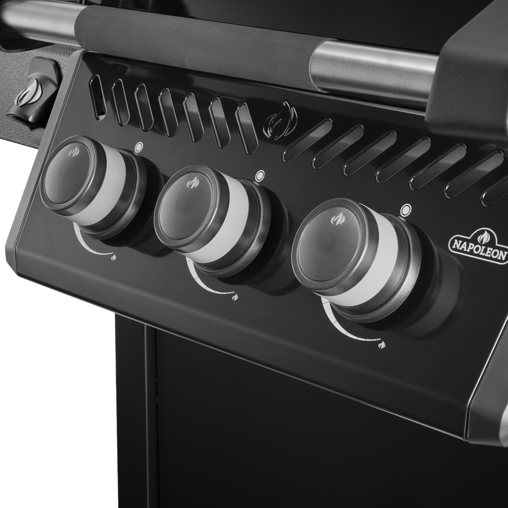 Napoleon® Freestyle® 365 mit Tür, Schwarz (F365DPK-1-DE) - Napoleon