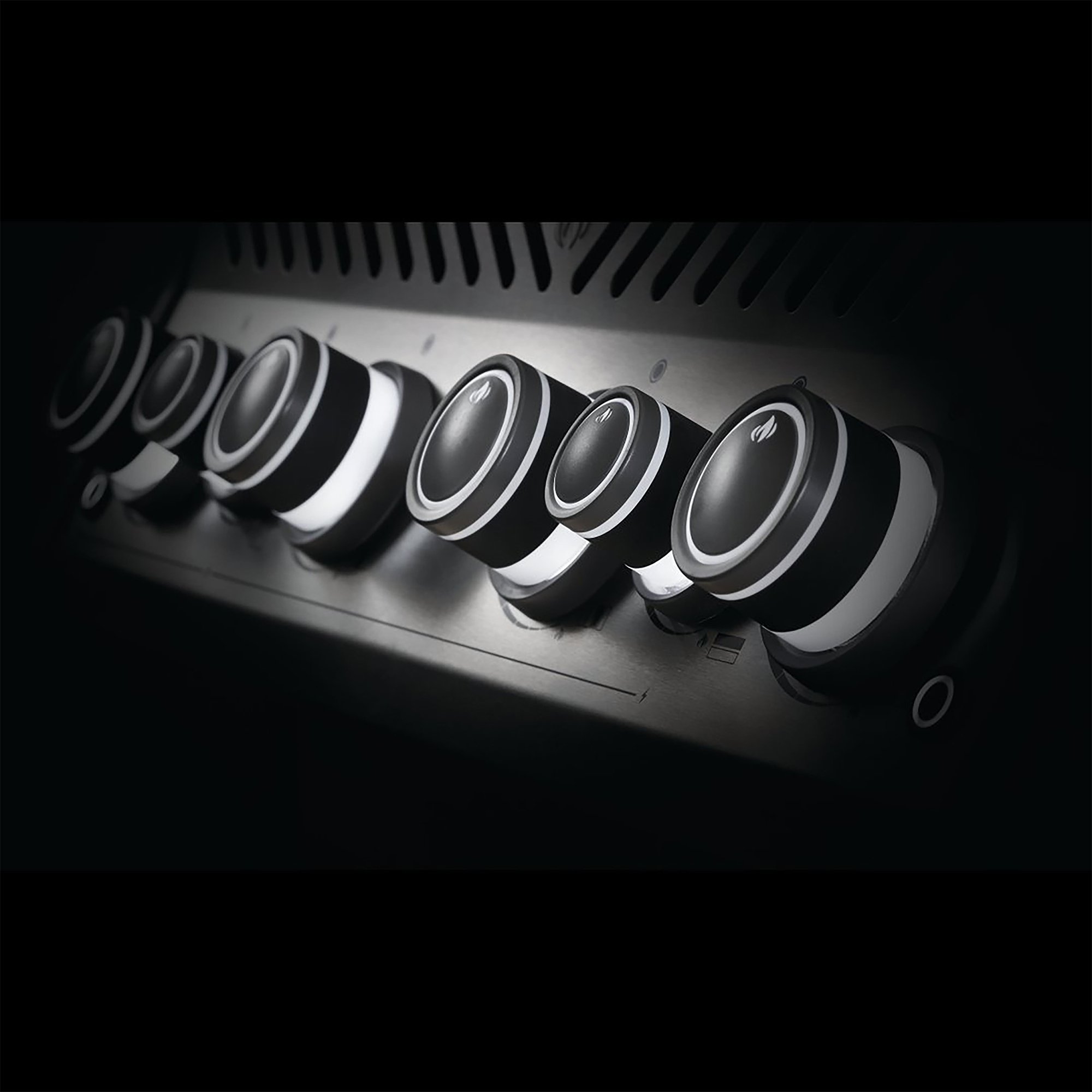 Napoleon® Rogue® SE 425, schwarz - Inkl. Drehspieß (RSE425RSIBPK-1-DE-A) - Napoleon Napoleon® Rogue® SE 425, schwarz - Inkl. Drehspieß (RSE425RSIBPK-1-DE-A) - Napoleon