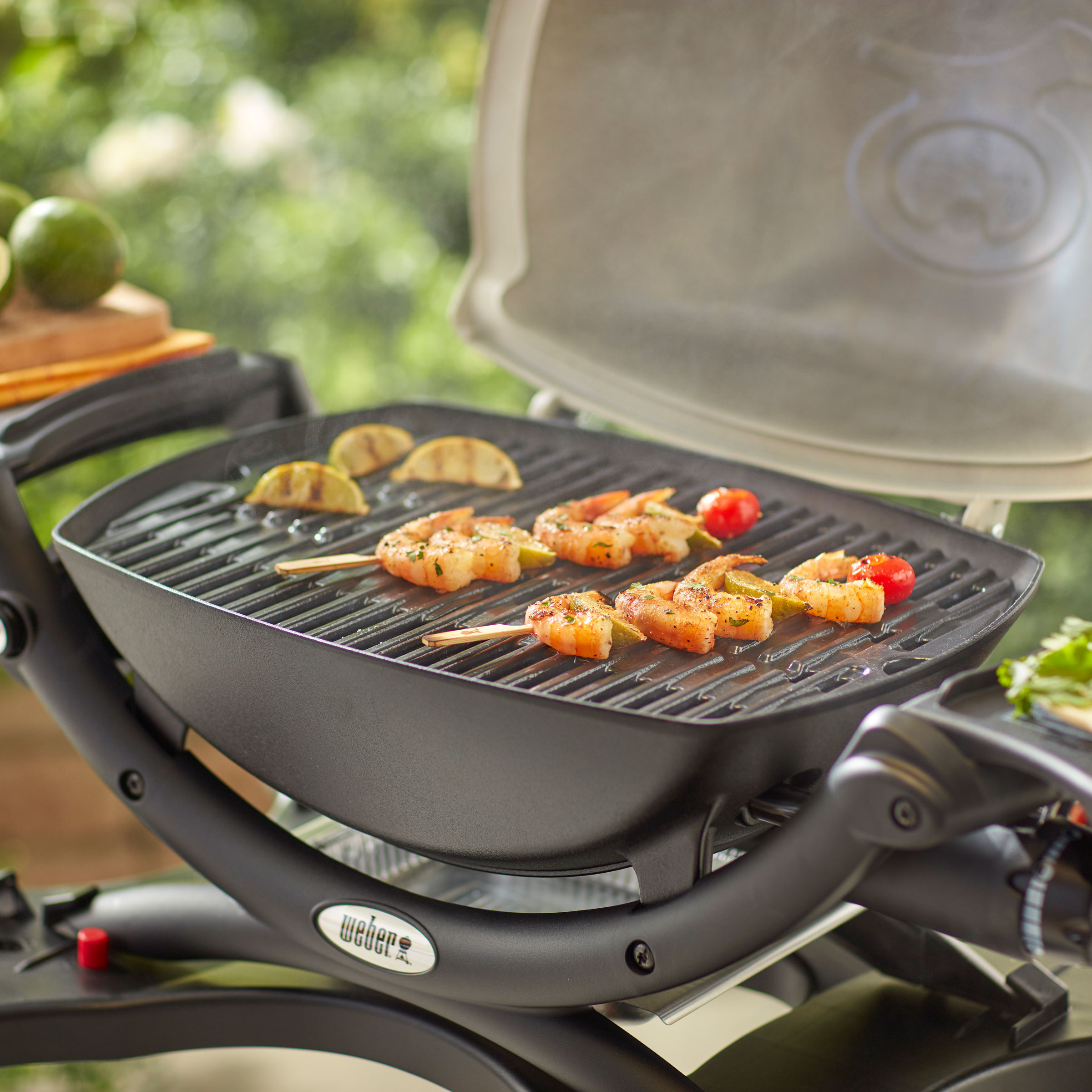 Weber® Gusseisen Grillrost für Q100/1000 (7644) - CC|02 - Weber